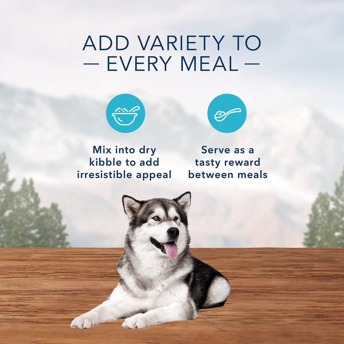 Blue Buffalo Wilderness Trail Toppers Wild Cuts Chunky Salmon Bites in Hearty Gravy Grain-Free Dog Food Topper