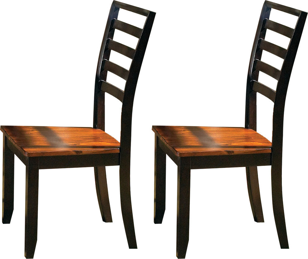 Abaco Side Chairs  Set of 2   Transitional   Dining Chairs   by HedgeApple  Houzz