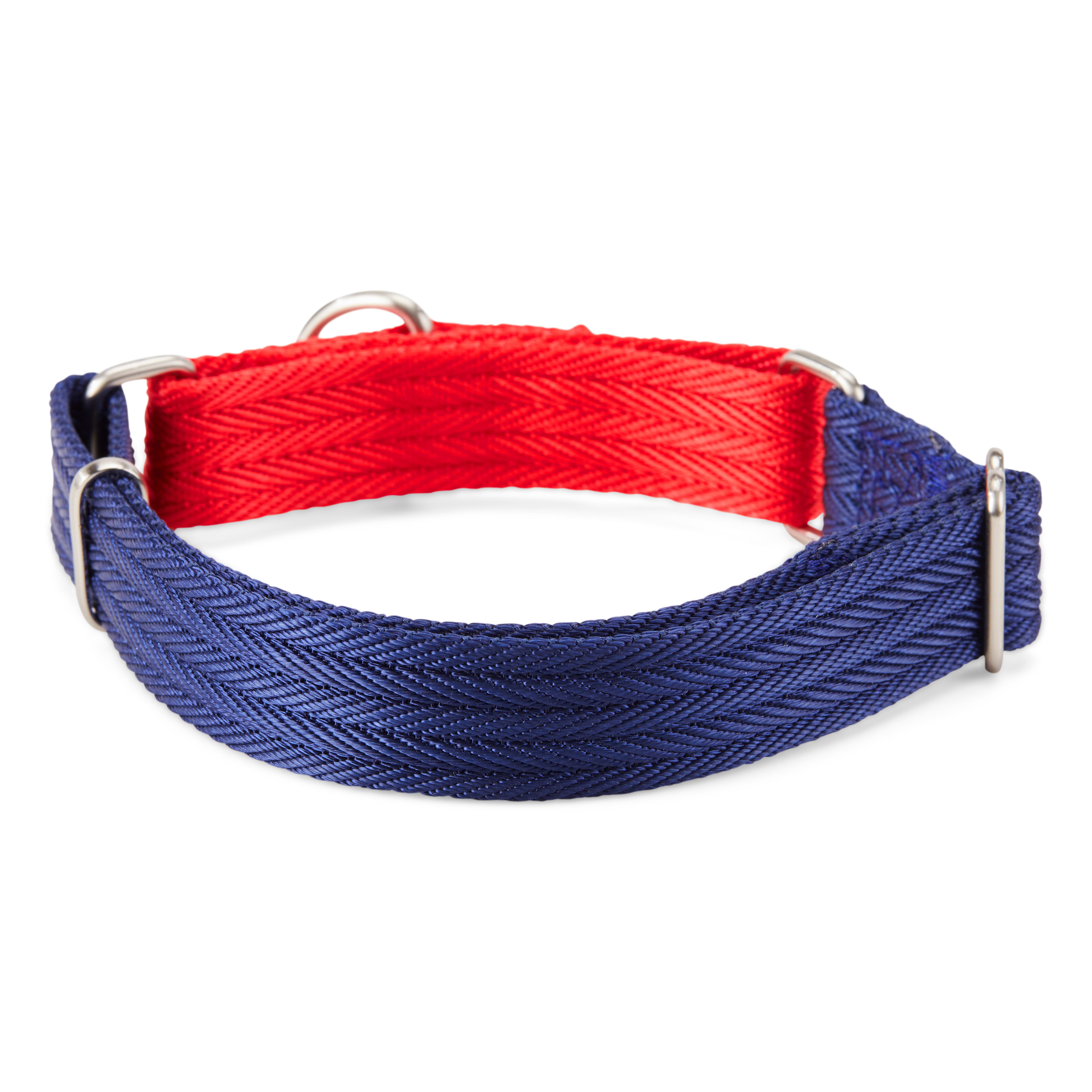 Good2Go Red and Blue Two Tone Martingale Dog Collar， Medium