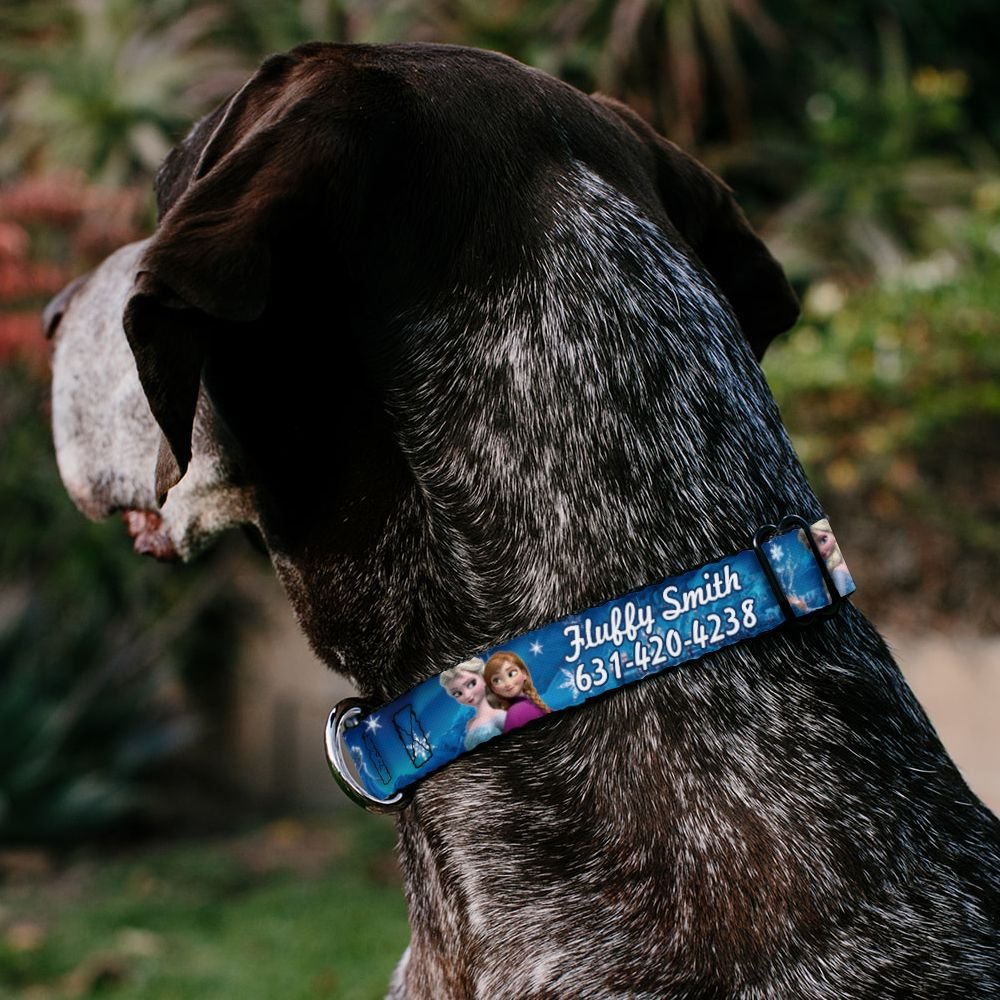 Buckle-Down Disney Frozen Anna and Elsa Poses and Castle and Mountains Polyester Personalized Dog Collar