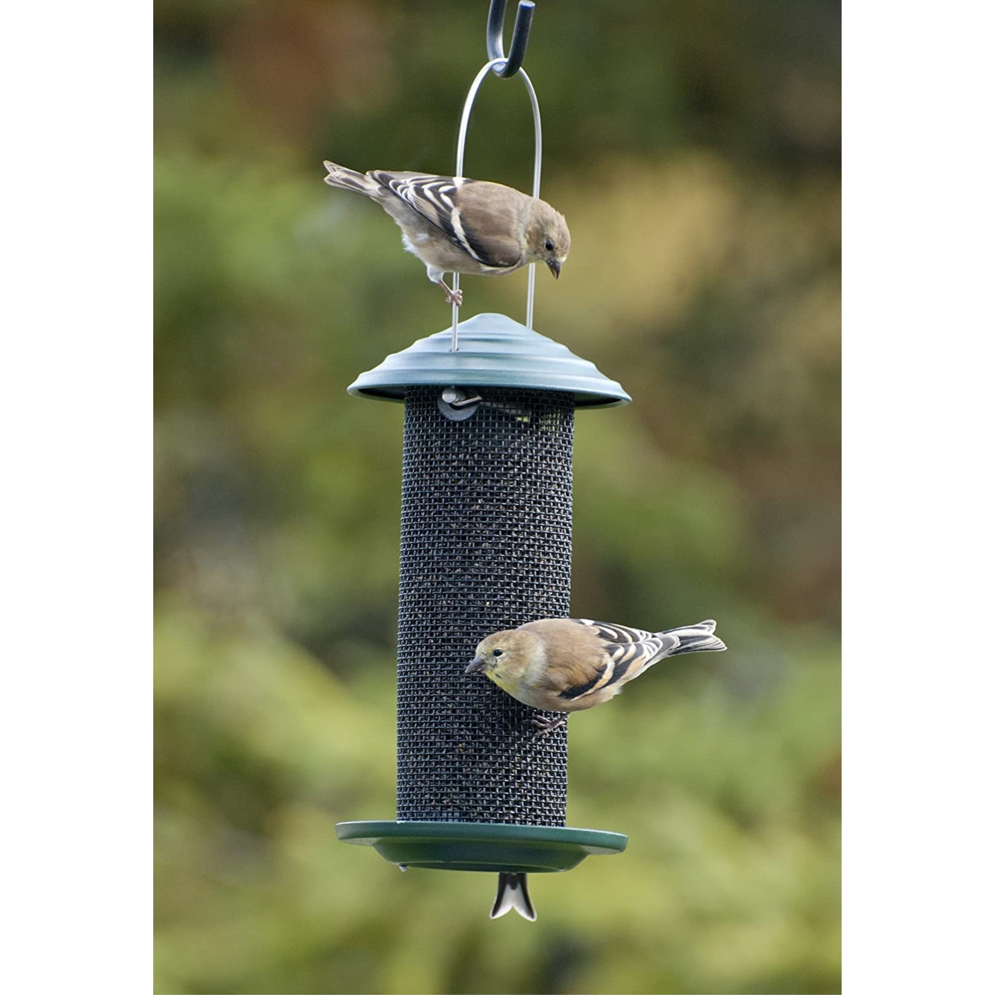 Audubon/Woodlink Mini Magnum Feeder