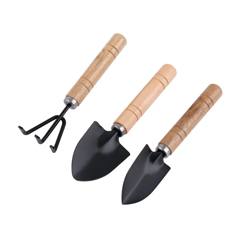 Three piece Suit Eco Friendly Wooden Handles Succulent Mini Gardening Tools for Transplant Vegetable Seedlings