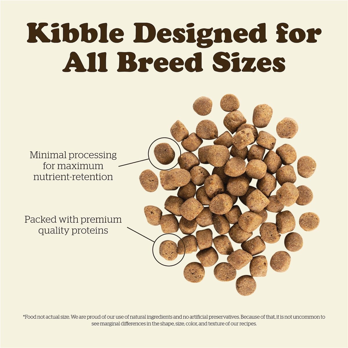 Now Fresh Grain-Free Adult Recipe Dry Dog Food