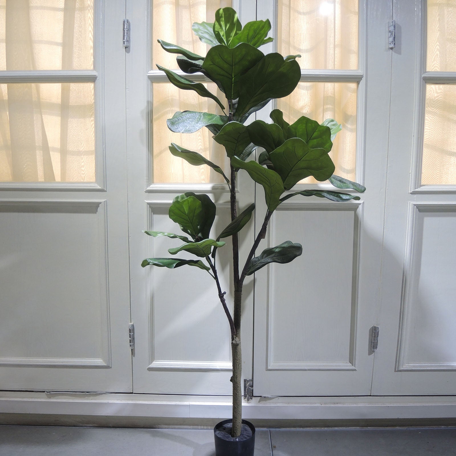 Handmade Decorative Artificial Fiddle Of Fig Tree N35120-S054