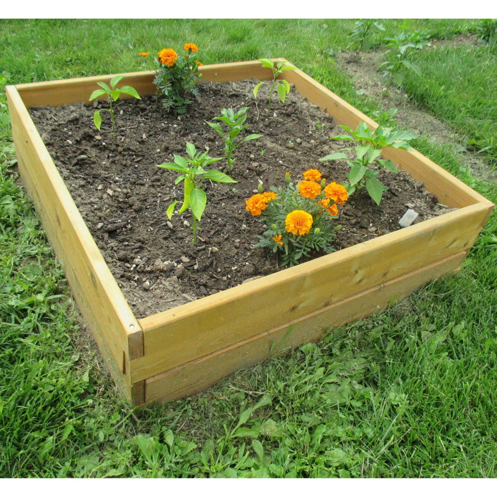 Infinite Cedar 3 ft W x 3 ft L x 11 inches Ht Raised Garden Bed Kit