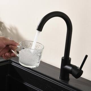 Fapully Single-Handle Gooseneck Kitchen Faucet in Matte Black QJ202204200003