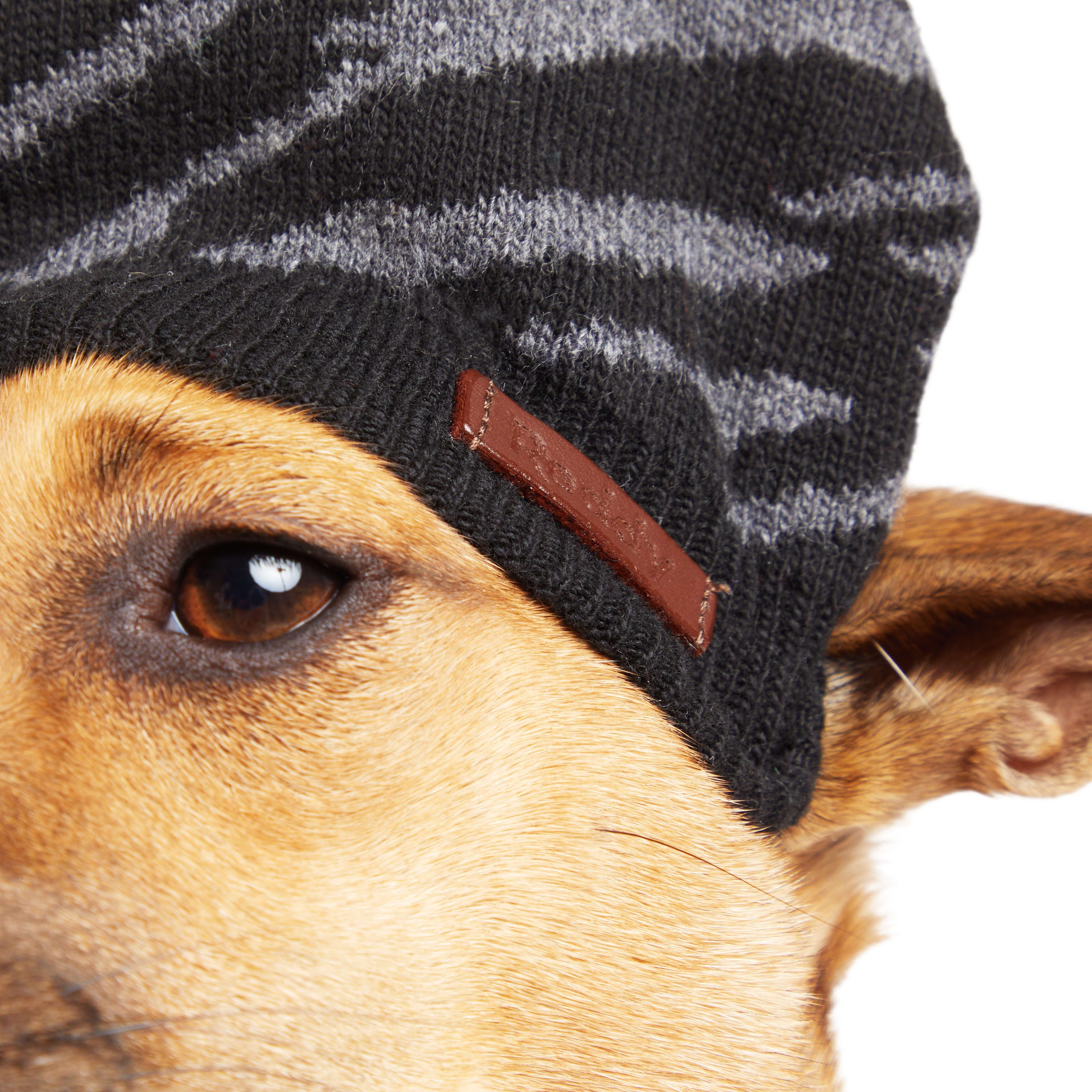 Reddy Black Beanie for Dog， X-Small/Small