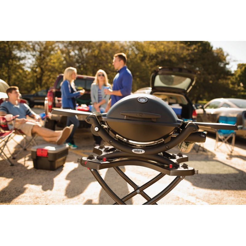 Weber Q 1200 Gas Grill Black