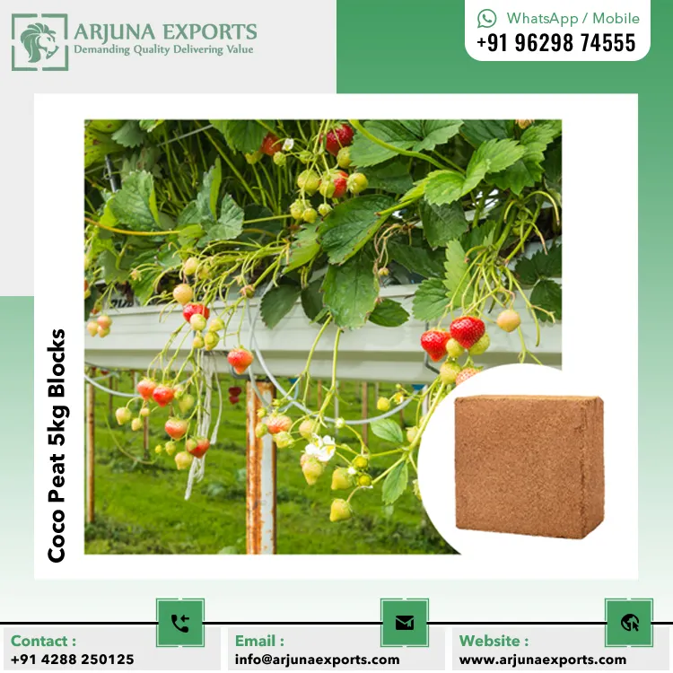 Good Quality Best Selling Garden Supplies 100% Natural Coconut Coir Peat Coco Pith 5kg Blocks at Wholesale Price