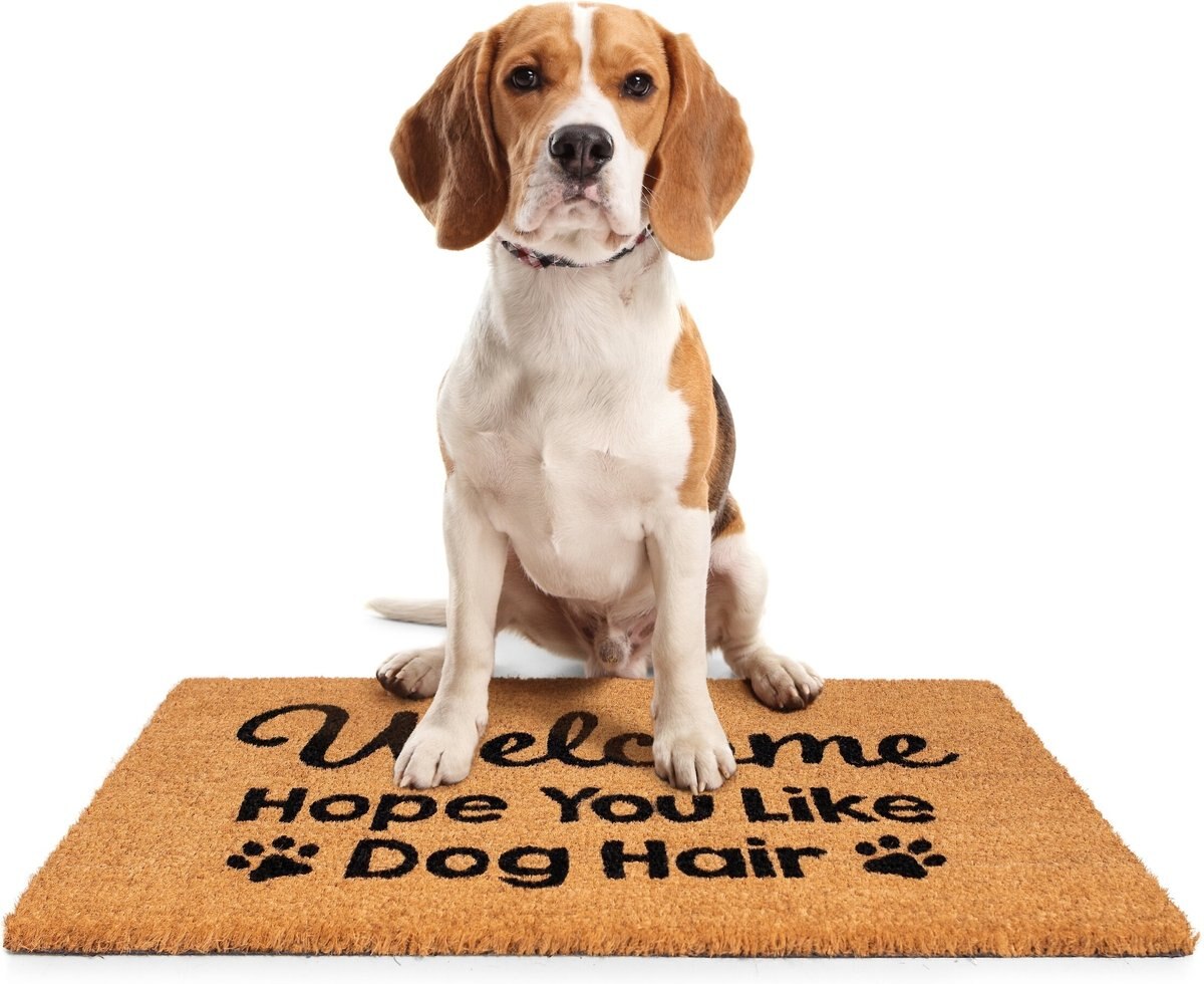 BirdRock Home Dog Hair' Coir Doormat