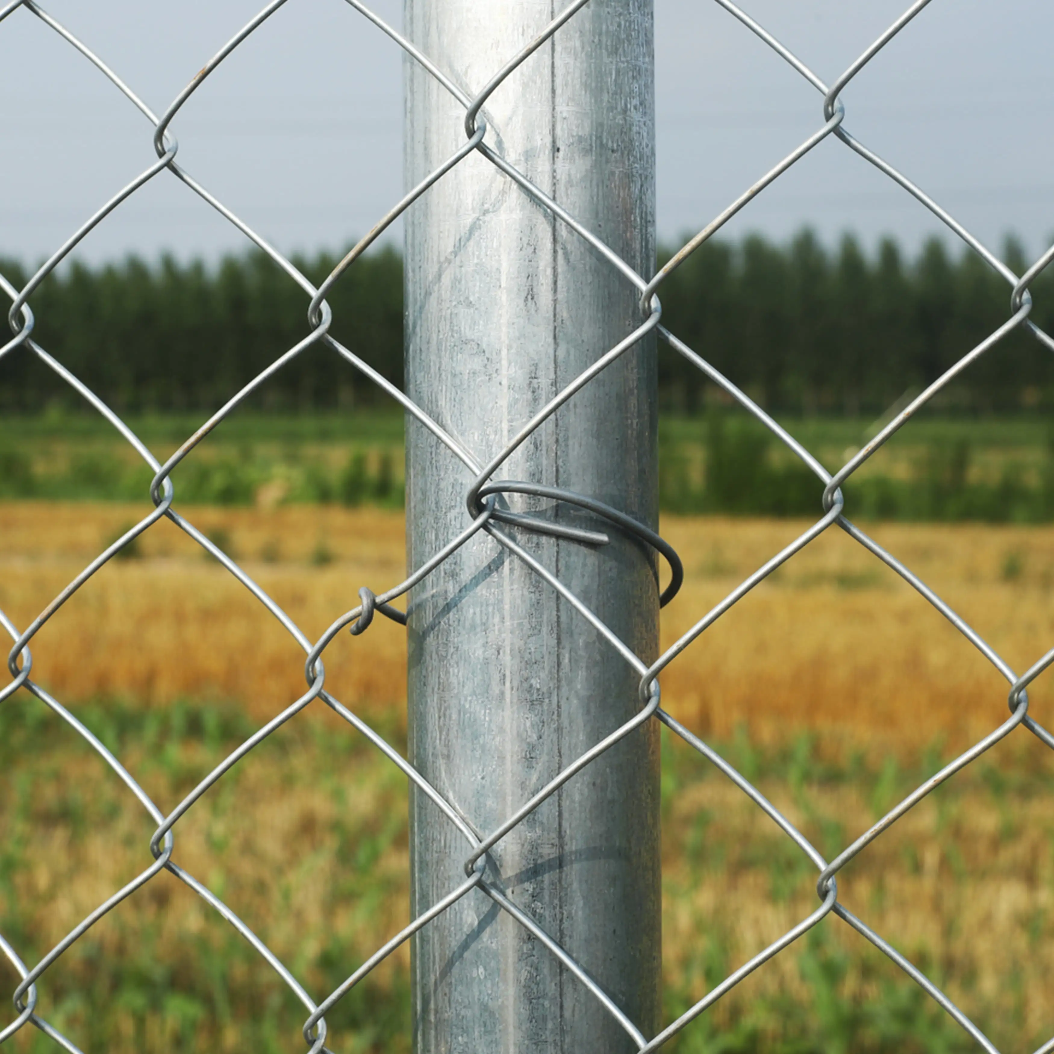 6X50 Galvanized Steel 6 x 50 ft. Chain Link Fence Complete Kit
