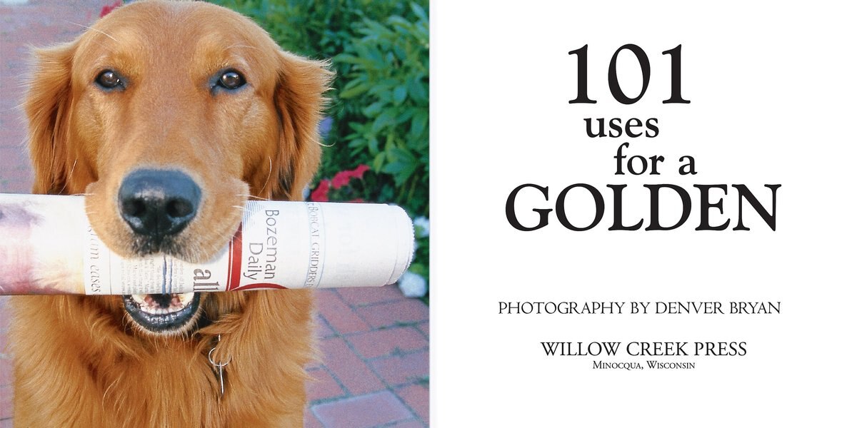 101 Uses For A Golden