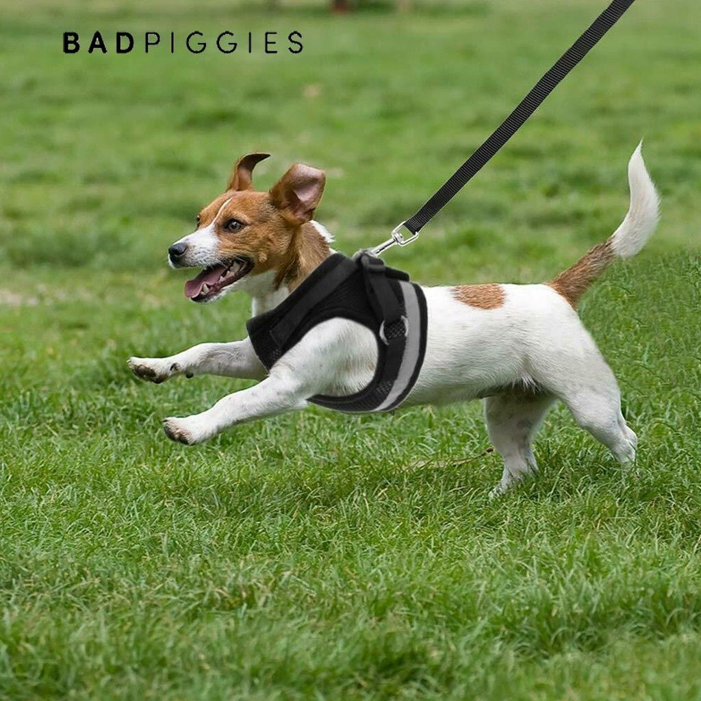 BadPiggies No Pull Dog Harnesses No Choke Reflective Pet Harness Adjustable Walking Breathable Mesh Dog Vest for Small Dogs Cats