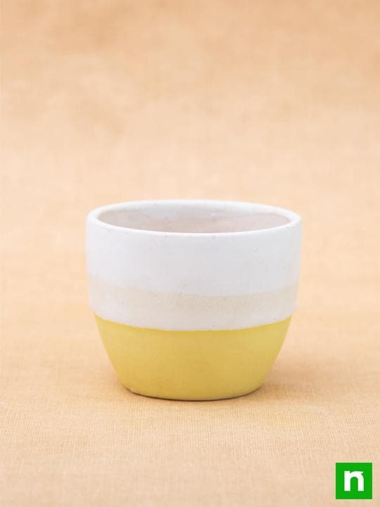 3.7 inch (9 cm) Round Egg Ceramic Pot with Plate (White, Yellow) (Set of 2)