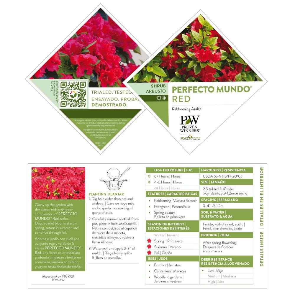 PROVEN WINNERS 2 Gal. Perfecto Mundo Red Azalea Shrub with Red Flowers 18181