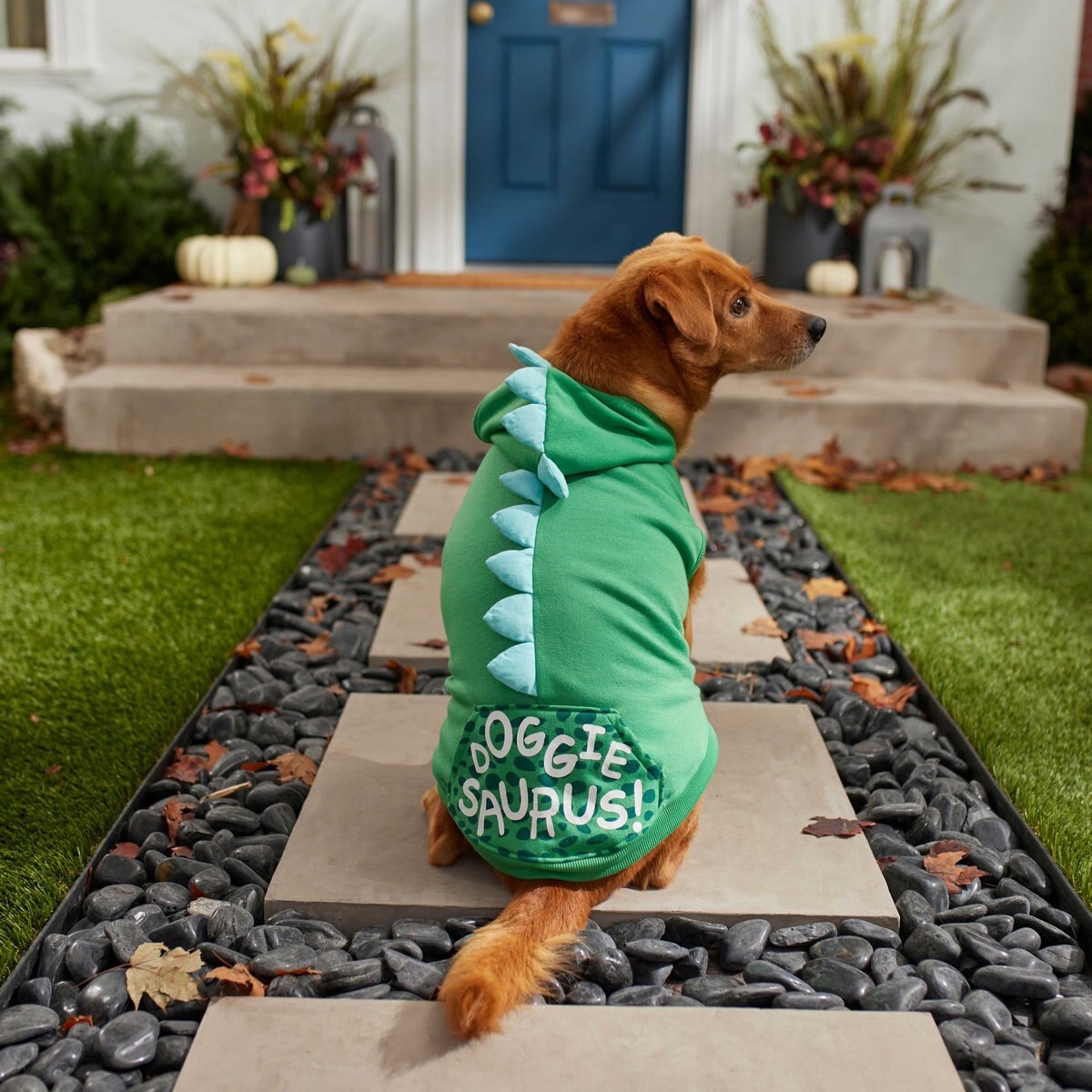 Frisco Doggiesaurus Dog and Cat Hoodie， Green