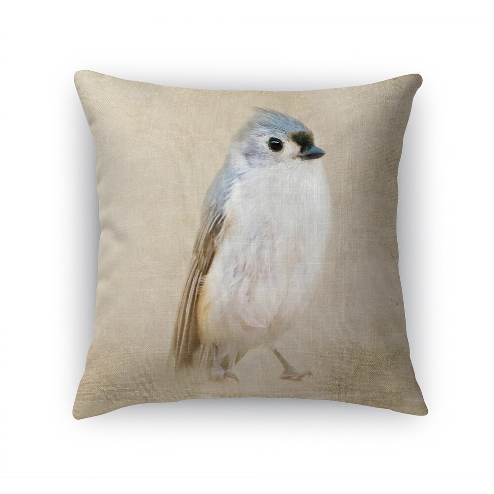 ONE LITTLE BIRD Accent Pillow by Terri Ellis