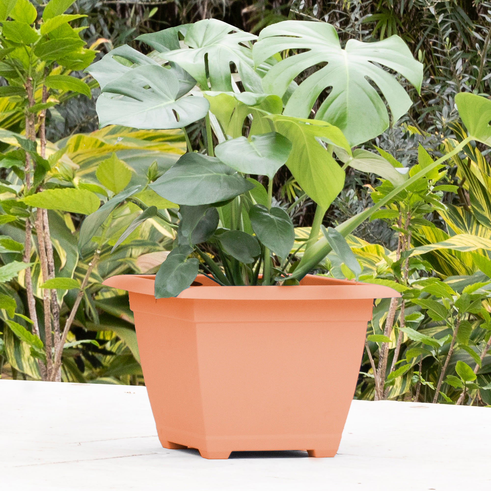 Bloem Dayton Square Post-Consumer Plastic Planter: 15" Coral Orange