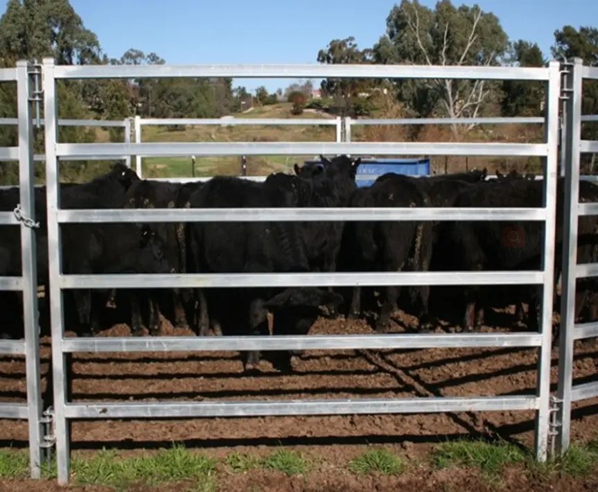 Heavy Duty 1.8m x 2.1m  galvanised  steel cattle yard panels supplies