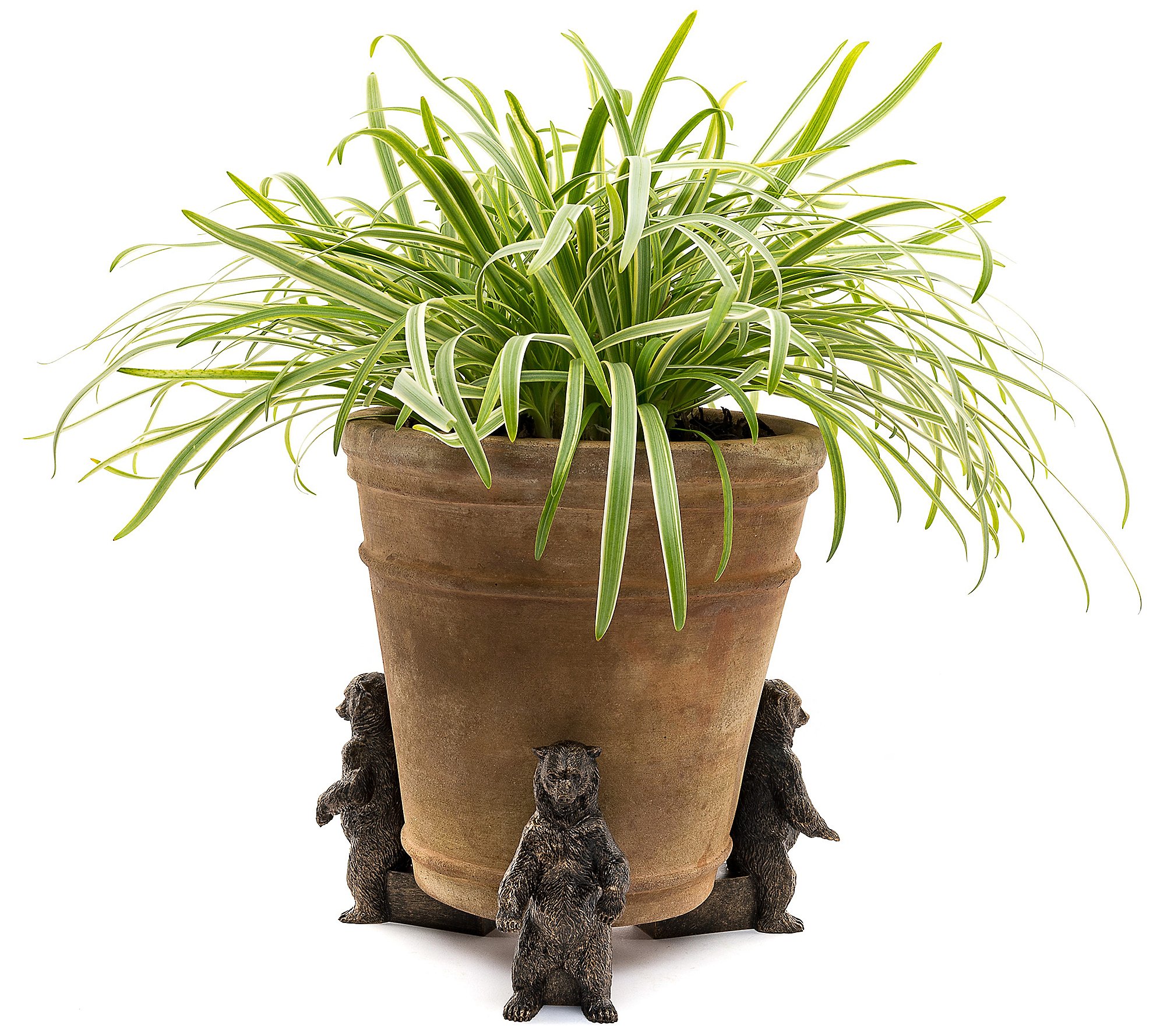 Jardinopia Potty Feet Grizzly Bear S 3Planter Feet