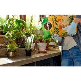 Miracle-Gro 8 Qt. Cactus Palm and Citrus Potting Mix 72078500