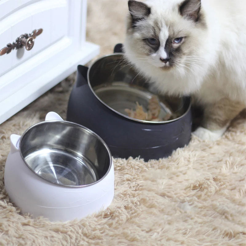 Pet Bowl,2Pcs Cat Bowl Stainless Steel Raised None Slip Elevated Stand Tilted Pet Feeder