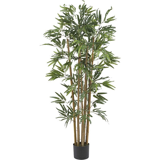 Multi Bambusa 4foot Bamboo Silk Tree