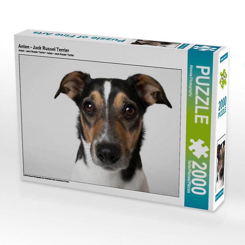 Anton   jack russel terrier   calvendo foto puzzle