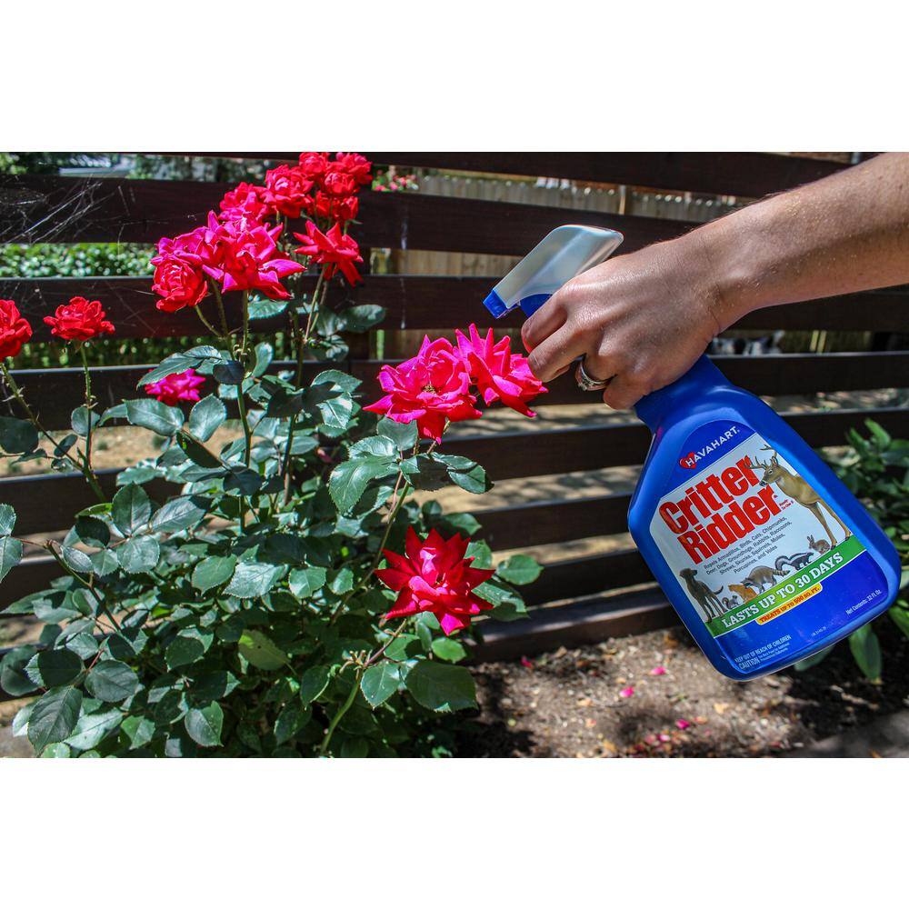 Havahart Critter Ridder II 32 oz. Ready-to-Use Animal Repellent 3145-2
