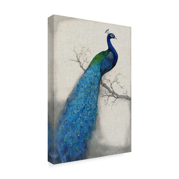 Trademark Fine Art tim Otoole x27 peacock Blue I x27 Canvas Art