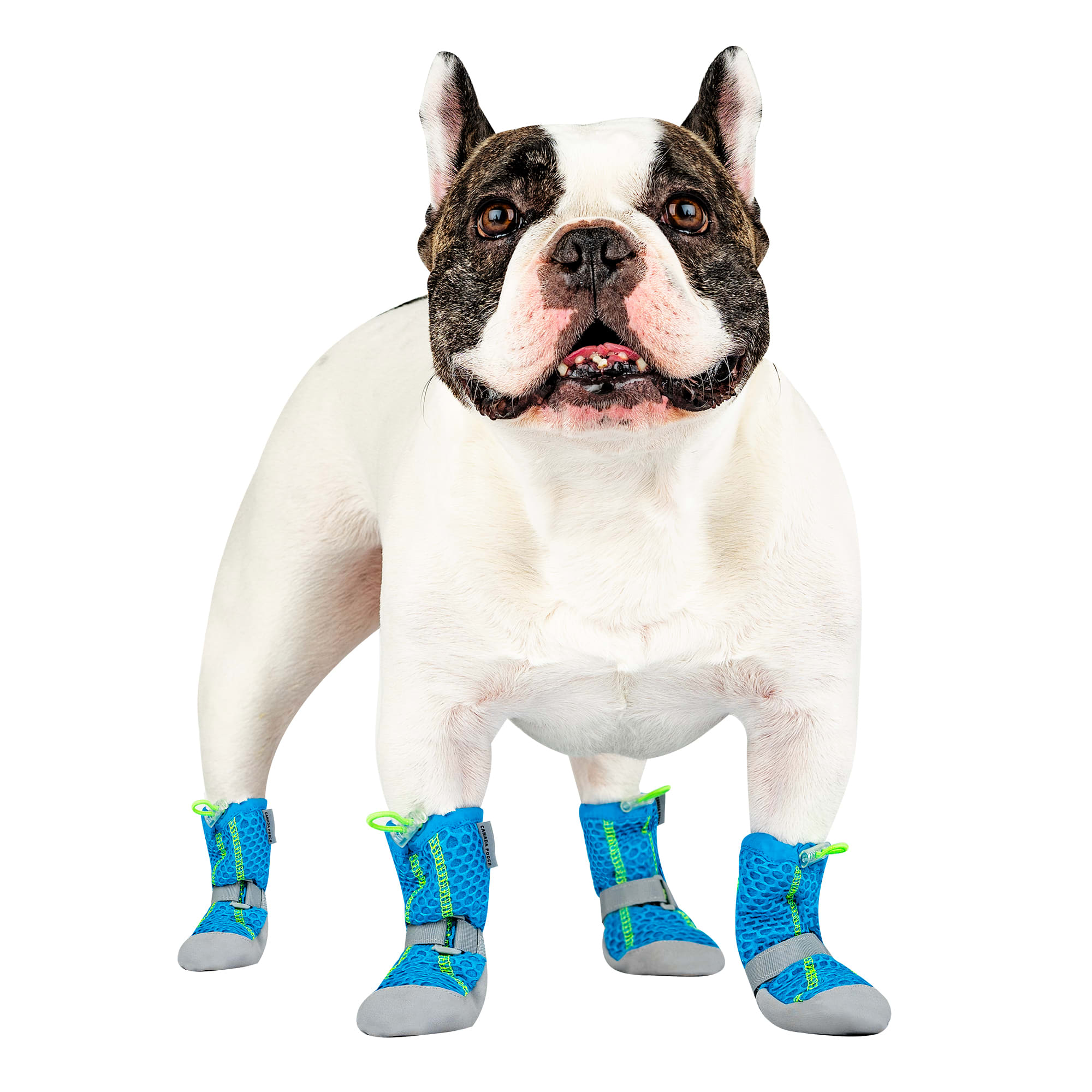 Canada Pooch Blue Hot Pavement Dog Boots， X-Small