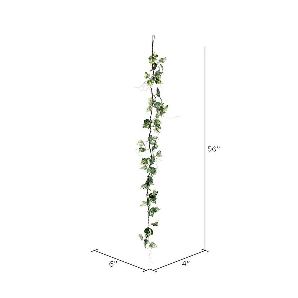 Vickerman 56 Artificial Green Variegated Ivy Garland，Pack of 2