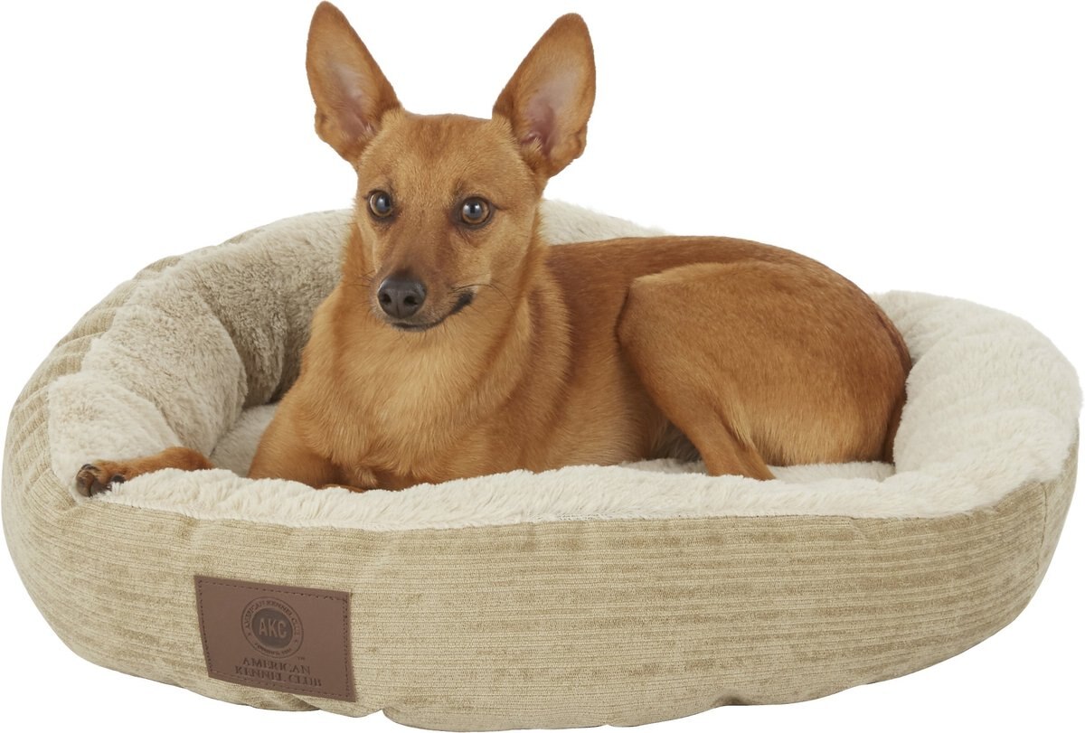 American Kennel Club AKC Casablanca Bolster Cat and Dog Bed