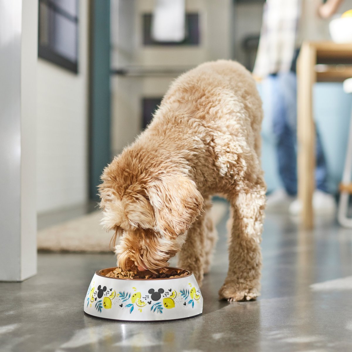 Disney Mickey Mouse Lemon Melamine Stainless Steel Dog and Cat Bowl