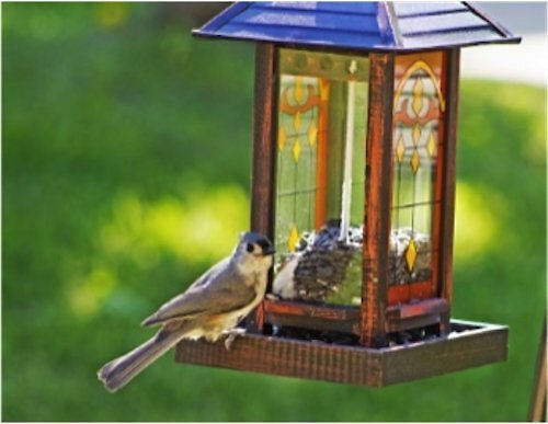 Wagner's 100% Striped Sunflower Seed Wild Bird Food