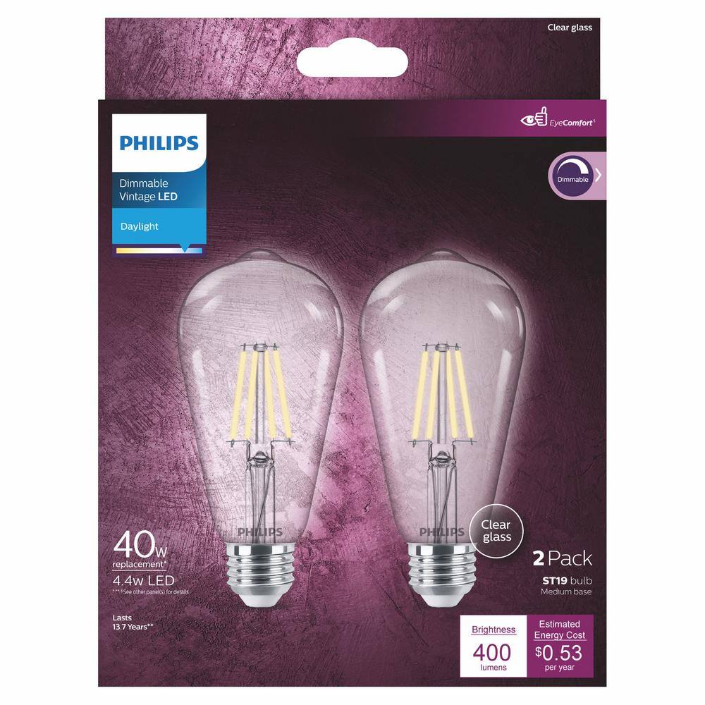 Philips 40-Watt Equivalent ST19 Clear Glass Dimmable E26 Vintage Edison LED Light Bulb Daylight 5000K (2-Pack) 564864