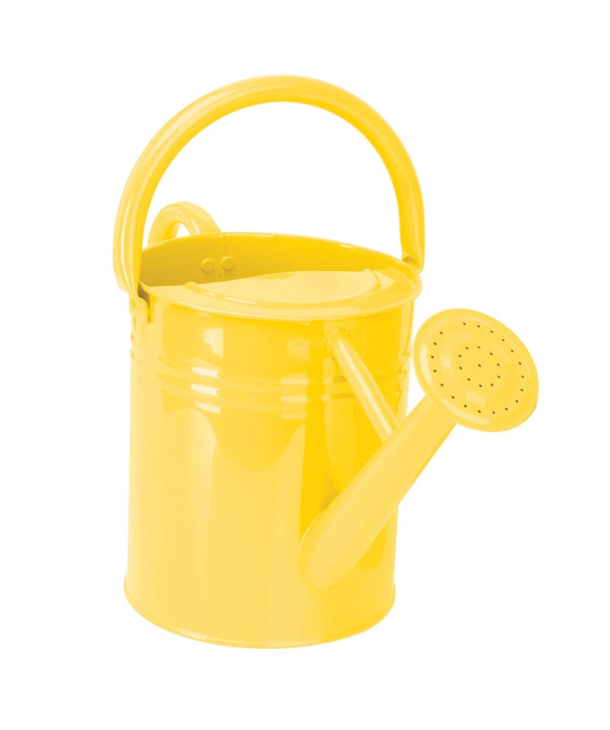 Panacea Watering Can