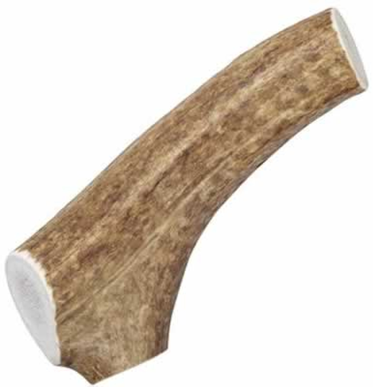 Happy Dog of Cape Cod Whole Elk Antler， X-Large