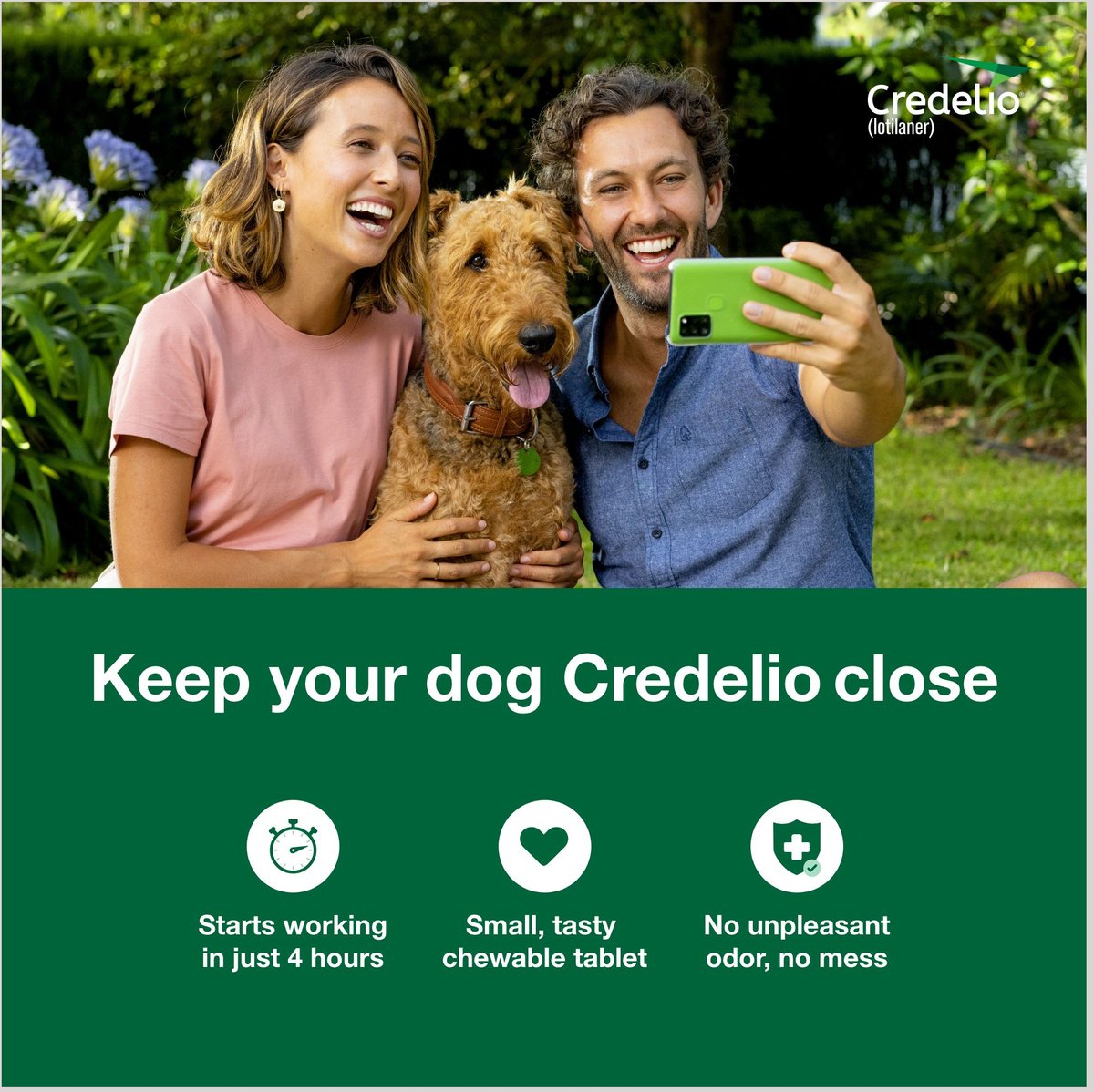 Credelio Chewable Tablet for Dogs， 12.1-25 lbs， (Orange Box)