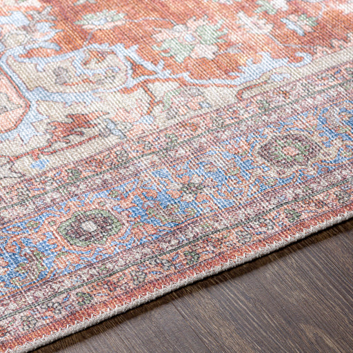 Alanya Multi-color Rug