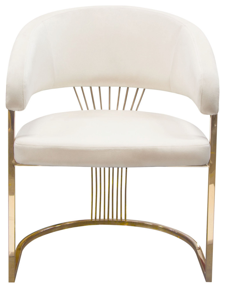 Solstice Dining Chair  Cream Velvet   Contemporary   Dining Chairs   by AMOC  Houzz