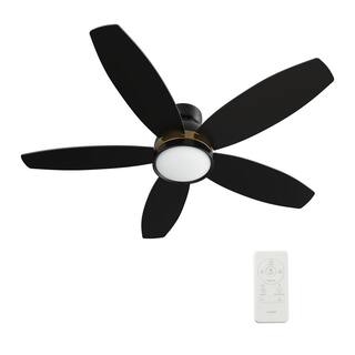 CARRO Levi 48 in. Dimmable LED IndoorOutdoor Black Smart Ceiling Fan with Light and Remote Works with AlexaGoogle Home HS485Q5-L12-B2-1-FM