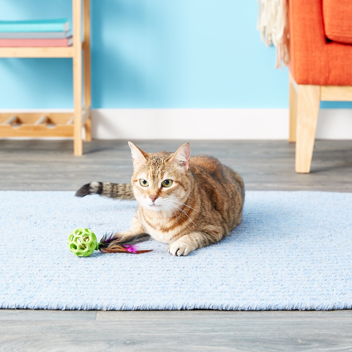 JW Pet Cataction Feather Ball with Bell Cat Toy