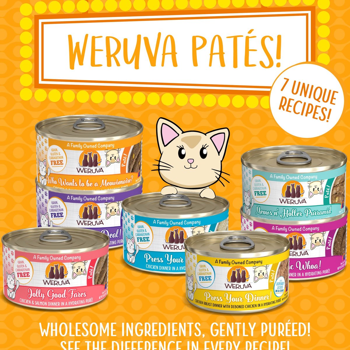 Weruva Classic Cat Who Wants To Be A Meowinaire Chicken and Pumpkin Pate Canned Cat Food