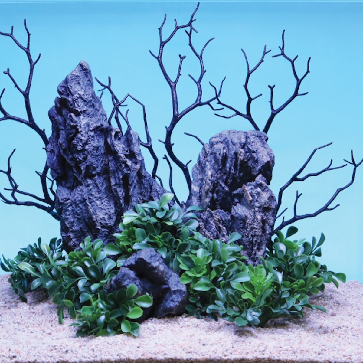 Current USA Weighted Base Black Manzanita Branches Aquarium Plant， 3 count