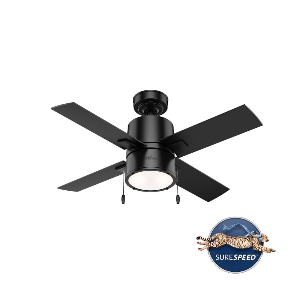 Hunter Beck Ceiling Fan 42 Matte Black/Greyed Walnut ;