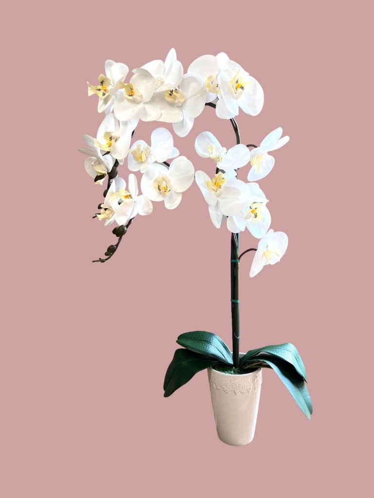 Stunning Artificial Orchids in Conical Pot