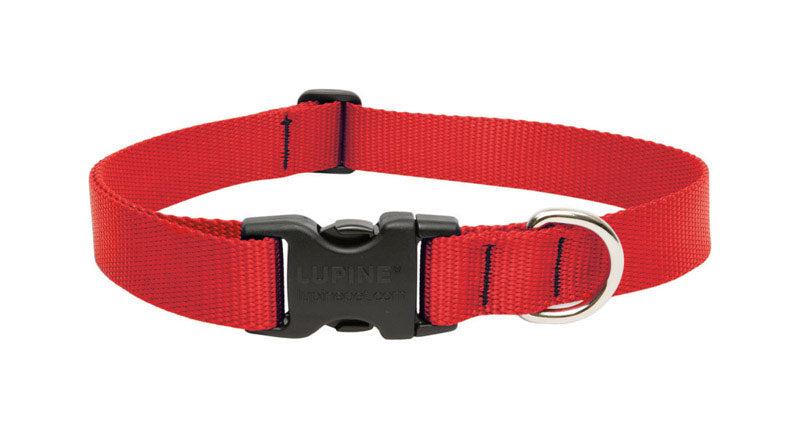 DOG COLLAR 12-20