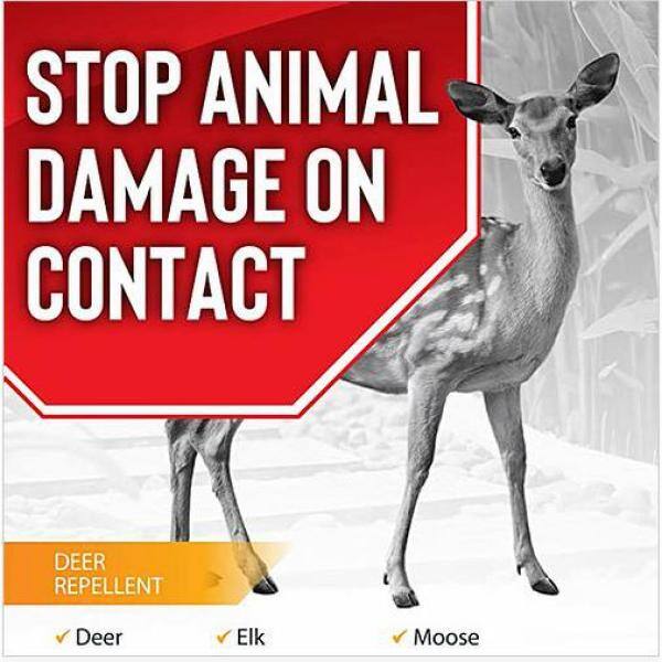 ANIMAL STOPPERS Deer Stopper Animal Repellent Gallon Ready-to-Use with Nested Sprayer DS-U-128