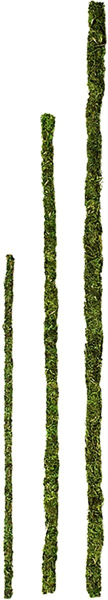 Galapagos Mossy Sticks， Fresh Green， 6 count